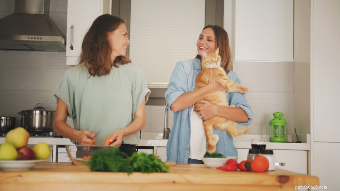 Homemade Pet Food: Essential Tips for a Balanced Diet