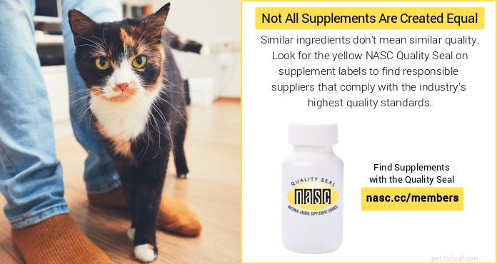 How Supporting Your Dog or Cat’s Gut Microbiome Boosts Health & Immunity