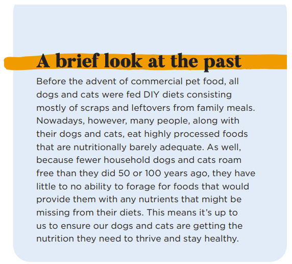 Homemade Pet Food: Essential Tips for a Balanced Diet