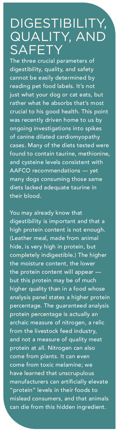 Mastering Pet Food Labels: Ensure Your Pet Gets the Best Nutrition