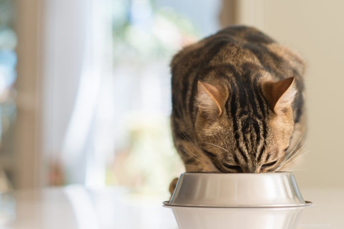 Boost Your Pet’s Health with Taurine-Infused Toppers for Cats & Dogs