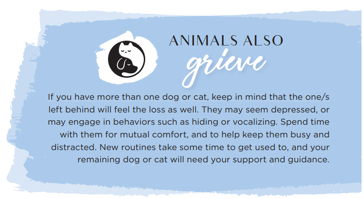 Coping with Pet Loss: Support & Strategies for Healing After Losing Your Dog or Cat