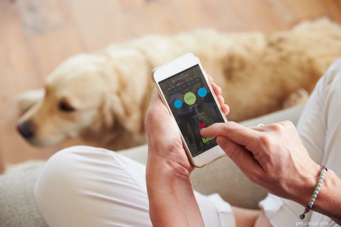 Track Your Pet’s Health and Nutrition with Leading Mobile Apps