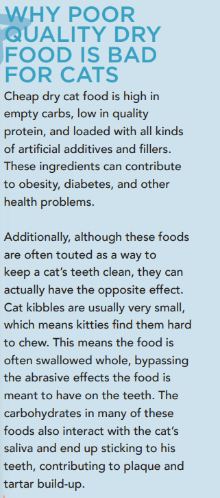 Top Healthy Dry Foods for Your Cat’s Optimal Nutrition