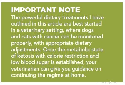 Ketogenic Diet and Calorie Restriction Boost Survival in Cancer‑Affected Dogs and Cats
