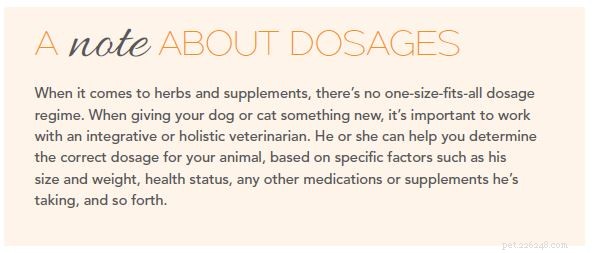 Natural Ways to Support Your Pet’s Aging Liver