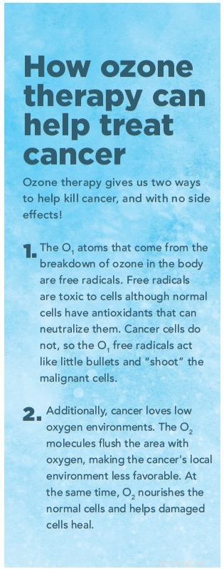 Ozone Therapy in Veterinary Care: Proven Benefits for Dogs & Cats