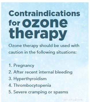Ozone Therapy in Veterinary Care: Proven Benefits for Dogs & Cats
