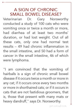 How to Prevent Hairballs in Cats: Expert Tips for a Healthier, Happier Pet