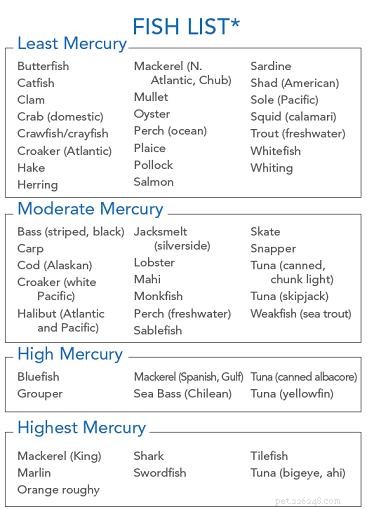 Preventing Mercury Poisoning in Cats: Safe Fish Choices
