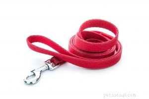 Master Leash Walking: Proven Techniques for a Calm, Well-Behaved Dog