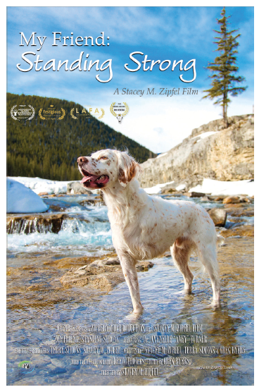 CLEAR: Advancing Canine Cancer Research & Education