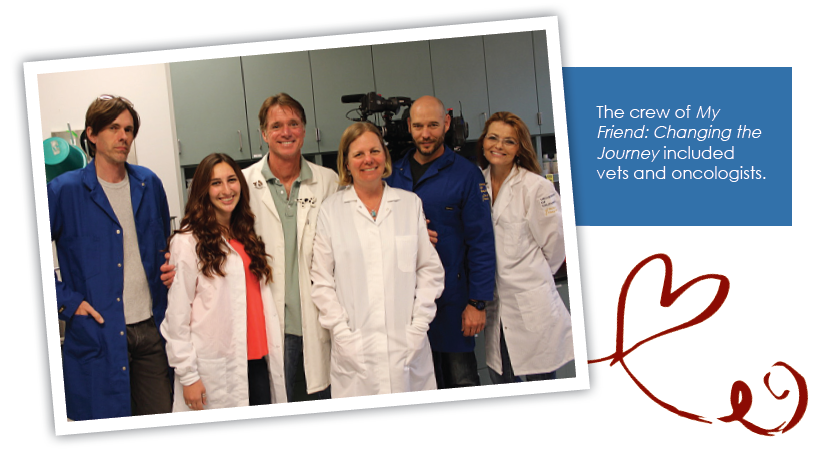 CLEAR: Advancing Canine Cancer Research & Education