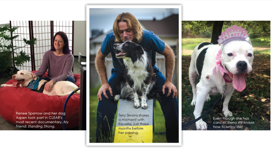 CLEAR: Advancing Canine Cancer Research & Education