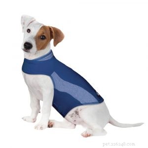 Natural Ways to Calm Your Dog s Anxiety