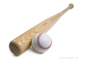 Bring Your Dog to the Ballpark: A Guide to Pet-Friendly MLB Games