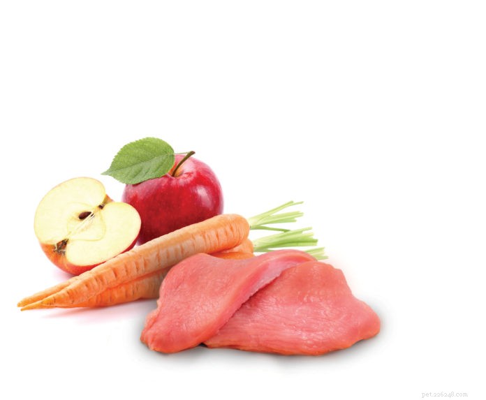 Top 8 Human Foods for Healthy, Low‑Calorie Dog Treats