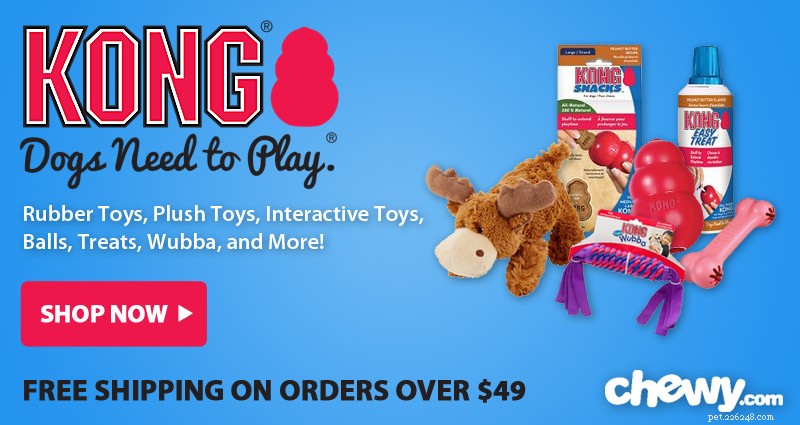 Safe Dental Toys for Dogs: A Trusted Guide to Choosing the Best Oral Care Playthings