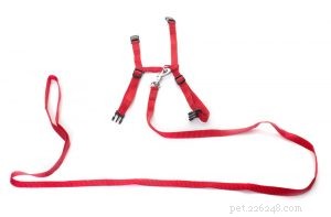 The Ultimate Guide to Dog Harnesses: Comfort, Safety, and Performance