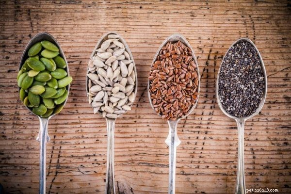 Can Dogs Safely Consume Common Food Seeds? Expert Guide