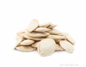 Can Dogs Safely Consume Common Food Seeds? Expert Guide