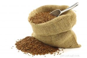 Can Dogs Safely Consume Common Food Seeds? Expert Guide