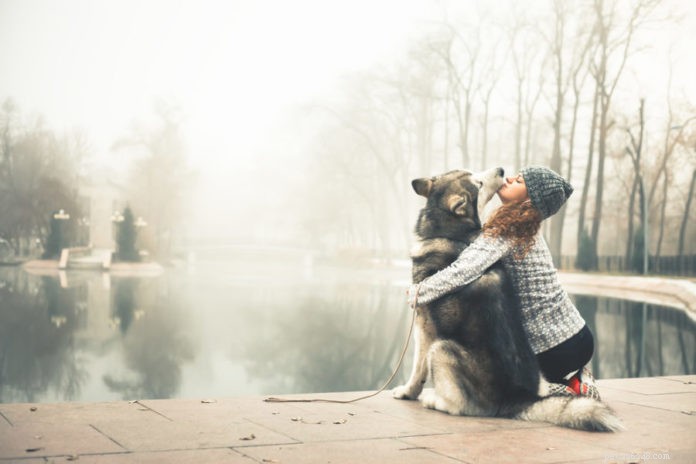 5 Proven Strategies to Lower Your Dog’s Cancer Risk