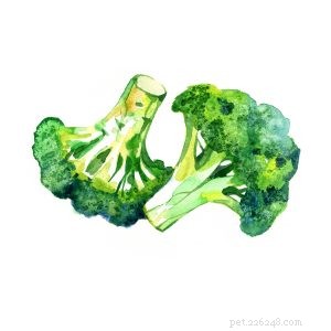 Boost Your Dog’s Health with an Easy Fruit & Veggie Blend