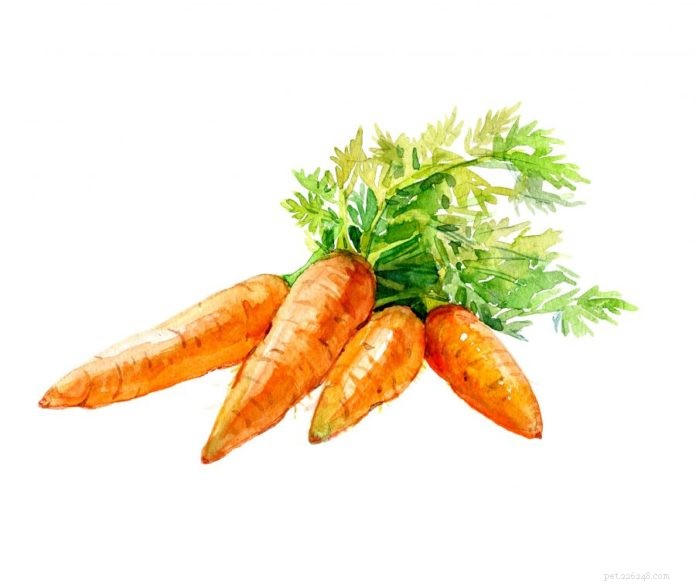 Boost Your Dog’s Health with an Easy Fruit & Veggie Blend