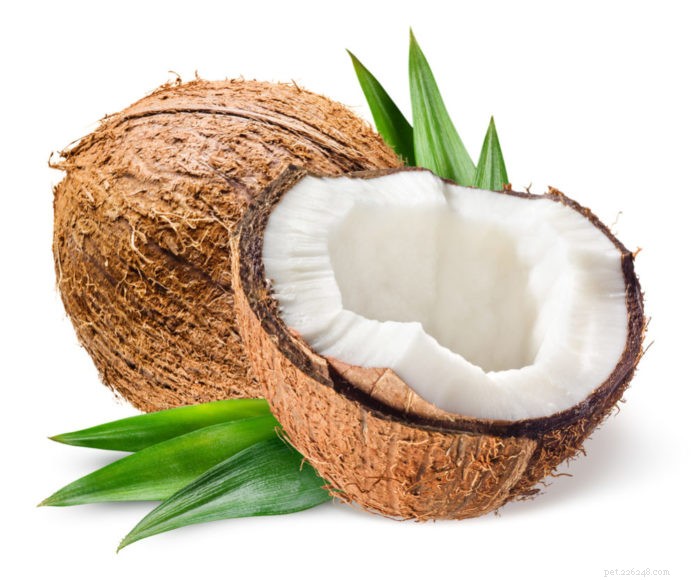 Coconut: Health Benefits for Your Dog and Cat