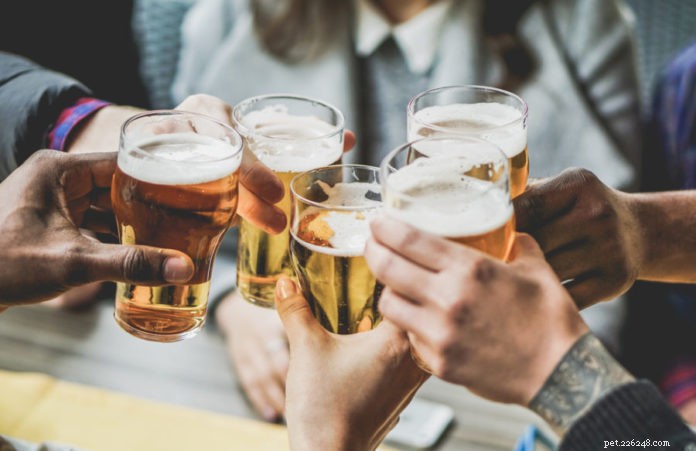 Explore Dog-Friendly Breweries: A Tail-Wagging Experience for You and Your Canine