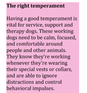 Service, Therapy & Emotional Support Dogs: Understanding Their Roles and Impact
