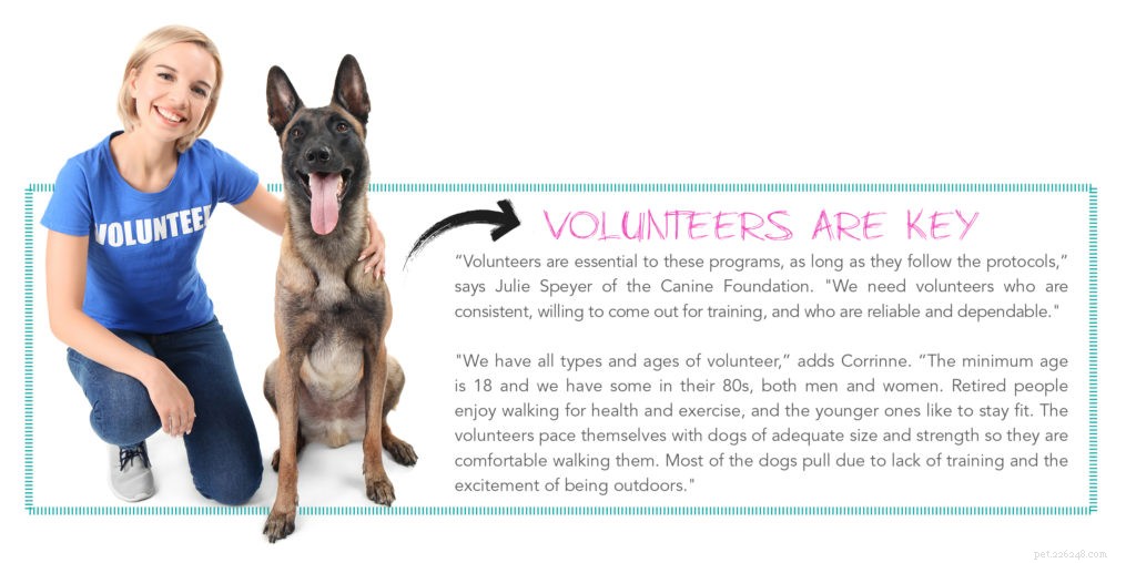Daily Walks & Exercise Programs Boost Shelter Dogs  Adopting Potential