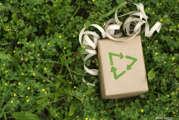 Top 5 Eco-Friendly Gifts for Your Pets – Sustainable & Safe