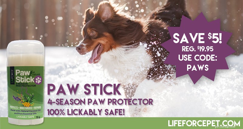 The Ultimate Guide to Keeping Your Dog’s Paws Healthy