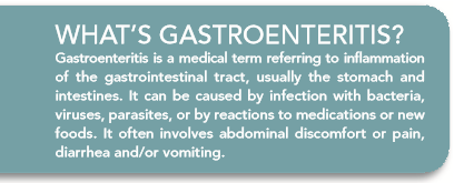 Understanding and Managing Common Digestive Issues in Dogs