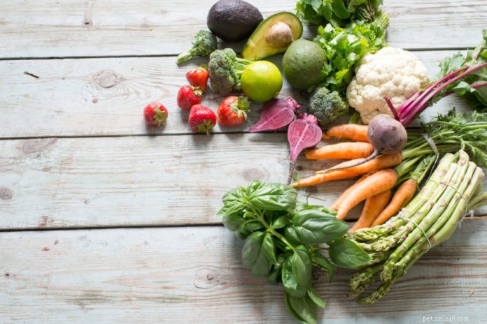 Essential Vitamins & Minerals for Your Dog’s Health