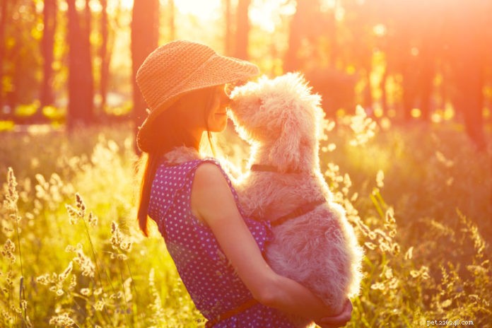 Avoid These 12 Common Dog Parenting Mistakes for a Healthier, Happier Pet