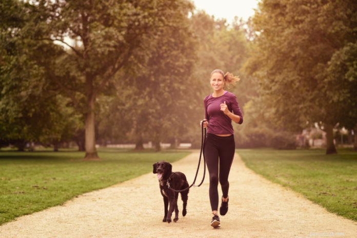 How Much Exercise Does Your Dog Need? Tailored Guidance for Every Breed, Size, and Age