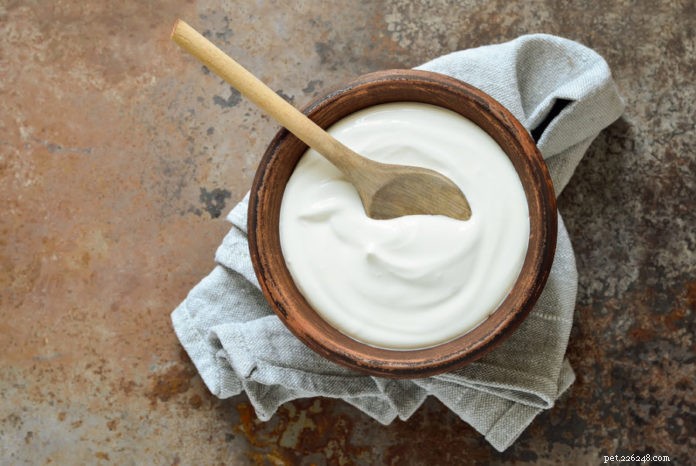 Yogurt: A Delicious, Healthy Treat for Dogs & Cats