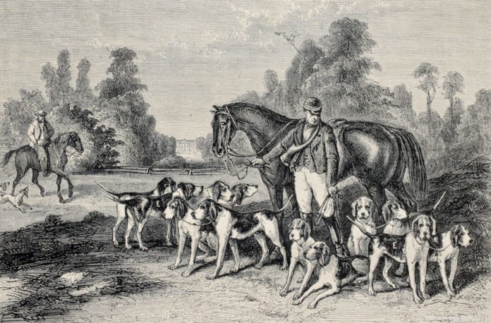 From Cruelty to Compassion: The Evolution of Dog Training