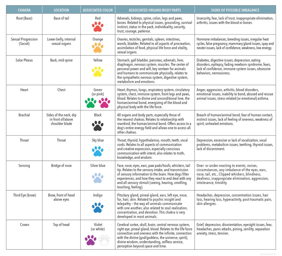 Restore Your Dog s Balance: Expert Chakra Healing for Physical, Mental, and Emotional Wellness