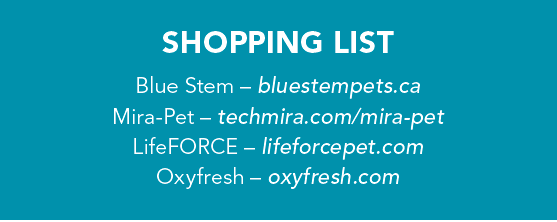 Top Dental Tools for Dogs: Keep Your Pup’s Teeth Healthy & Fresh