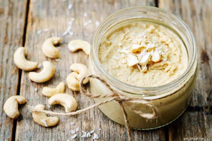 Dog-Friendly Seed & Nut Butters for a Nutritious Treat