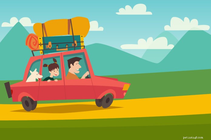 Traveling Safely with Your Dog: Essential Tips & Hidden Hazards to Avoid