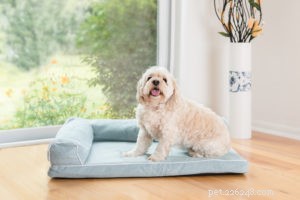 How to Choose the Perfect Dog Bed: Expert Tips for Comfort & Longevity