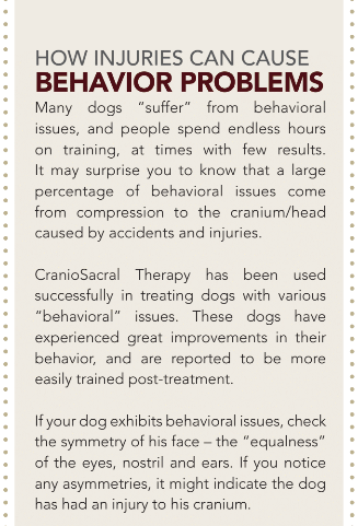 CranioSacral Therapy for Dogs: Restore Balance & Prevent Injuries