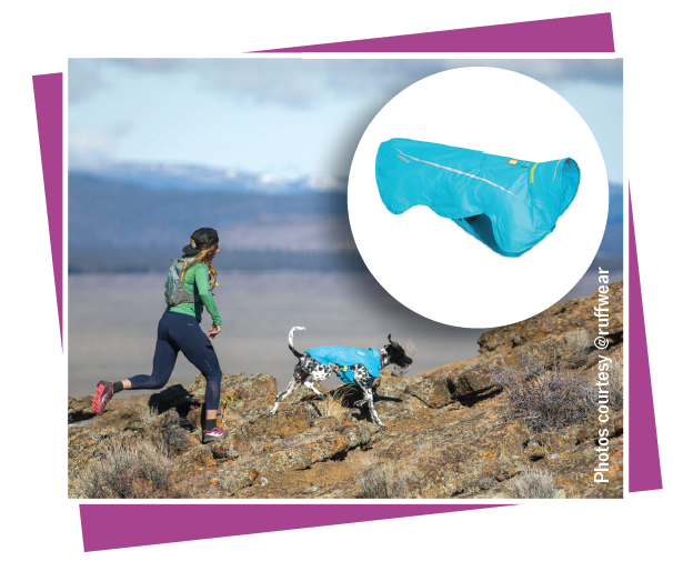 Essential Outdoor Gear Every Dog Needs for Adventure