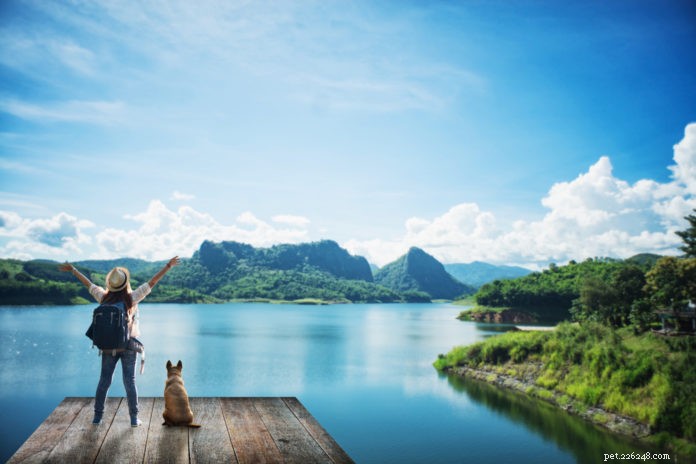 10 Proven Ways to Make Your Dog Eco-Friendly