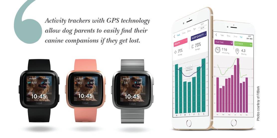 Smart Activity Trackers for Dogs: Monitor Health & Activity